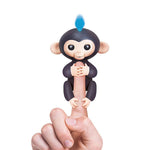 Shop Crazy Monkey Friends + 50 Pieces of DIY Sticks - Euloom