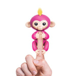 Shop Crazy Monkey Friends + 50 Pieces of DIY Sticks - Euloom